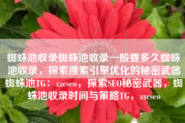 蜘蛛池收录蜘蛛池收录一般要多久蜘蛛池收录，探索搜索引擎优化的秘密武器蜘蛛池TG：zzcseo，探索SEO秘密武器，蜘蛛池收录时间与策略TG，zzcseo
