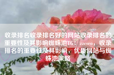 收录排名收录排名好的网站收录排名的重要性及其影响蜘蛛池TG：zzcseo，收录排名的重要性及其影响，优质网站与蜘蛛池策略