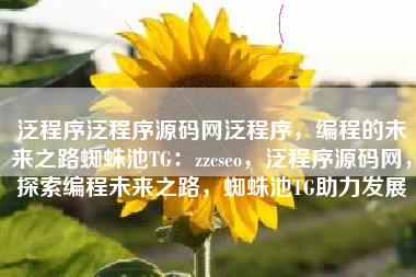 泛程序泛程序源码网泛程序，编程的未来之路蜘蛛池TG：zzcseo，泛程序源码网，探索编程未来之路，蜘蛛池TG助力发展