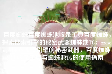 百度蜘蛛百度蜘蛛池收录工具百度蜘蛛，探索搜索引擎的秘密武器蜘蛛池TG：zzcseo，探索搜索引擎的秘密武器，百度蜘蛛池收录工具与蜘蛛池TG的使用指南