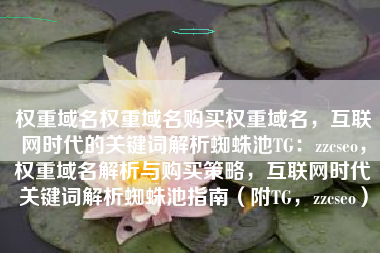 权重域名权重域名购买权重域名，互联网时代的关键词解析蜘蛛池TG：zzcseo，权重域名解析与购买策略，互联网时代关键词解析蜘蛛池指南（附TG，zzcseo）