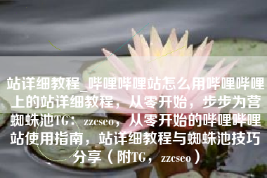 站详细教程_哔哩哔哩站怎么用哔哩哔哩上的站详细教程，从零开始，步步为营蜘蛛池TG：zzcseo，从零开始的哔哩哔哩站使用指南，站详细教程与蜘蛛池技巧分享（附TG，zzcseo）