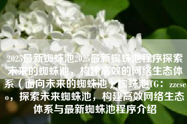 2025最新蜘蛛池2025最新蜘蛛池程序探索未来的蜘蛛池，构建高效的网络生态体系（面向未来的蜘蛛池）蜘蛛池TG：zzcseo，探索未来蜘蛛池，构建高效网络生态体系与最新蜘蛛池程序介绍