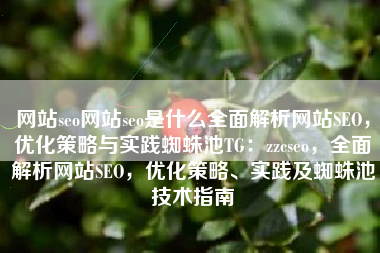 网站seo网站seo是什么全面解析网站SEO，优化策略与实践蜘蛛池TG：zzcseo，全面解析网站SEO，优化策略、实践及蜘蛛池技术指南