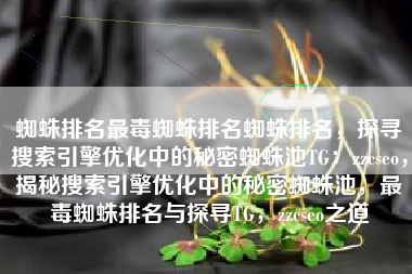 蜘蛛排名最毒蜘蛛排名蜘蛛排名，探寻搜索引擎优化中的秘密蜘蛛池TG：zzcseo，揭秘搜索引擎优化中的秘密蜘蛛池，最毒蜘蛛排名与探寻TG，zzcseo之道