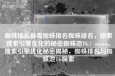 蜘蛛排名最毒蜘蛛排名蜘蛛排名，探索搜索引擎优化的秘密蜘蛛池TG：zzcseo，搜索引擎优化秘密揭秘，蜘蛛排名与蜘蛛池TG探索