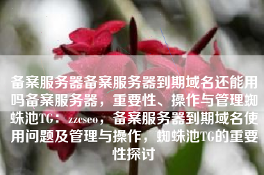 备案服务器备案服务器到期域名还能用吗备案服务器，重要性、操作与管理蜘蛛池TG：zzcseo，备案服务器到期域名使用问题及管理与操作，蜘蛛池TG的重要性探讨