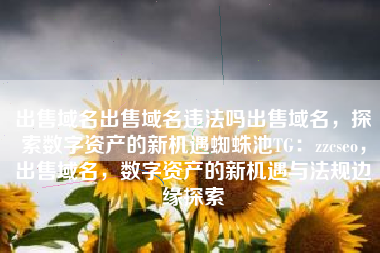 出售域名出售域名违法吗出售域名，探索数字资产的新机遇蜘蛛池TG：zzcseo，出售域名，数字资产的新机遇与法规边缘探索