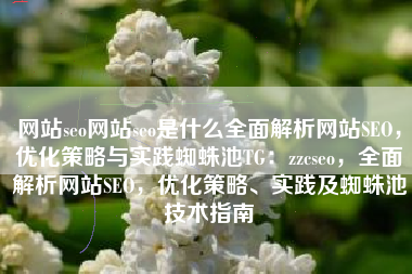 网站seo网站seo是什么全面解析网站SEO，优化策略与实践蜘蛛池TG：zzcseo，全面解析网站SEO，优化策略、实践及蜘蛛池技术指南