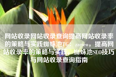 网站收录网站收录查询提高网站收录率的策略与实践蜘蛛池TG：zzcseo，提高网站收录率的策略与实践，蜘蛛池SEO技巧与网站收录查询指南