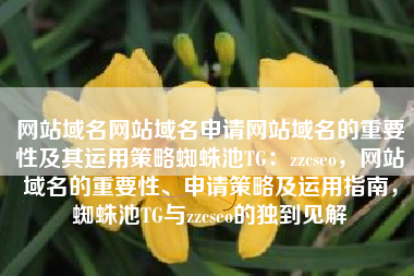 网站域名网站域名申请网站域名的重要性及其运用策略蜘蛛池TG：zzcseo，网站域名的重要性、申请策略及运用指南，蜘蛛池TG与zzcseo的独到见解