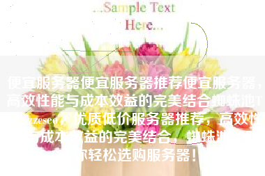 便宜服务器便宜服务器推荐便宜服务器，高效性能与成本效益的完美结合蜘蛛池TG：zzcseo，优质低价服务器推荐，高效性能与成本效益的完美结合，蜘蛛池TG助你轻松选购服务器！