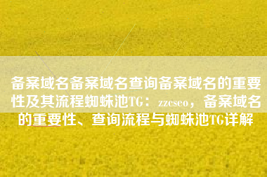 备案域名备案域名查询备案域名的重要性及其流程蜘蛛池TG：zzcseo，备案域名的重要性、查询流程与蜘蛛池TG详解