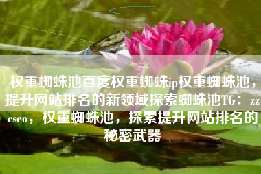 权重蜘蛛池百度权重蜘蛛ip权重蜘蛛池，提升网站排名的新领域探索蜘蛛池TG：zzcseo，权重蜘蛛池，探索提升网站排名的秘密武器