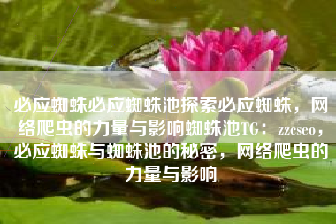 必应蜘蛛必应蜘蛛池探索必应蜘蛛，网络爬虫的力量与影响蜘蛛池TG：zzcseo，必应蜘蛛与蜘蛛池的秘密，网络爬虫的力量与影响