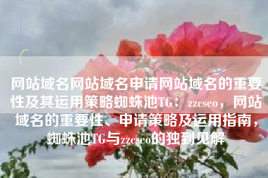 网站域名网站域名申请网站域名的重要性及其运用策略蜘蛛池TG：zzcseo，网站域名的重要性、申请策略及运用指南，蜘蛛池TG与zzcseo的独到见解