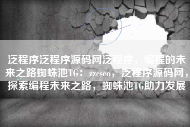 泛程序泛程序源码网泛程序，编程的未来之路蜘蛛池TG：zzcseo，泛程序源码网，探索编程未来之路，蜘蛛池TG助力发展