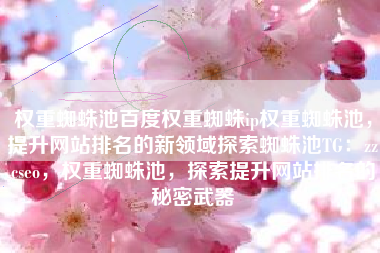 权重蜘蛛池百度权重蜘蛛ip权重蜘蛛池，提升网站排名的新领域探索蜘蛛池TG：zzcseo，权重蜘蛛池，探索提升网站排名的秘密武器