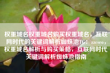 权重域名权重域名购买权重域名，互联网时代的关键词解析蜘蛛池TG：zzcseo，权重域名解析与购买策略，互联网时代关键词解析蜘蛛池指南
