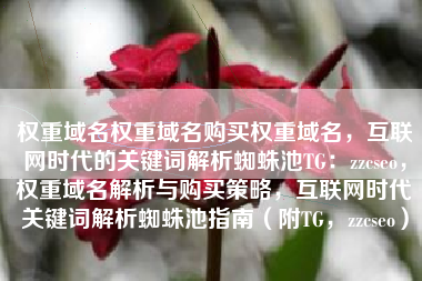 权重域名权重域名购买权重域名，互联网时代的关键词解析蜘蛛池TG：zzcseo，权重域名解析与购买策略，互联网时代关键词解析蜘蛛池指南（附TG，zzcseo）