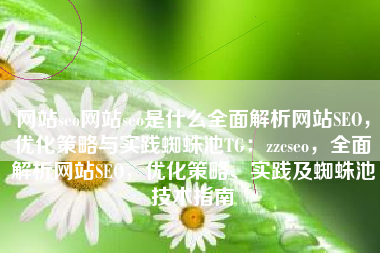 网站seo网站seo是什么全面解析网站SEO，优化策略与实践蜘蛛池TG：zzcseo，全面解析网站SEO，优化策略、实践及蜘蛛池技术指南