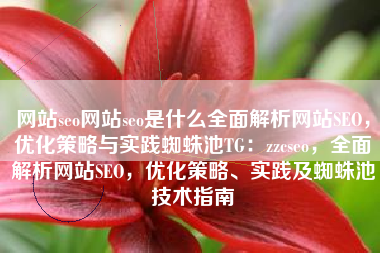 网站seo网站seo是什么全面解析网站SEO，优化策略与实践蜘蛛池TG：zzcseo，全面解析网站SEO，优化策略、实践及蜘蛛池技术指南