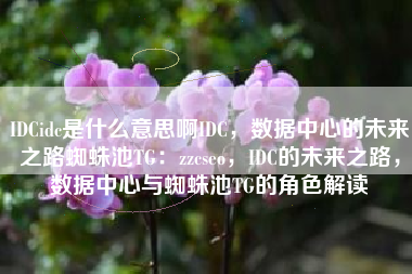 IDCidc是什么意思啊IDC，数据中心的未来之路蜘蛛池TG：zzcseo，IDC的未来之路，数据中心与蜘蛛池TG的角色解读