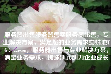 服务器出售服务器售卖服务器出售，专业解决方案，满足您的业务需求蜘蛛池TG：zzcseo，服务器出售与专业解决方案，满足业务需求，蜘蛛池TG助力企业成长