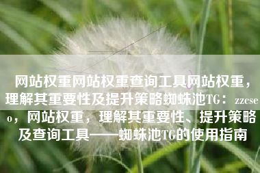 网站权重网站权重查询工具网站权重，理解其重要性及提升策略蜘蛛池TG：zzcseo，网站权重，理解其重要性、提升策略及查询工具——蜘蛛池TG的使用指南