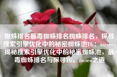 蜘蛛排名最毒蜘蛛排名蜘蛛排名，探寻搜索引擎优化中的秘密蜘蛛池TG：zzcseo，揭秘搜索引擎优化中的秘密蜘蛛池，最毒蜘蛛排名与探寻TG，zzcseo之道