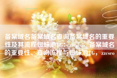 备案域名备案域名查询备案域名的重要性及其流程蜘蛛池TG：zzcseo，备案域名的重要性、查询流程与蜘蛛池TG，zzcseo