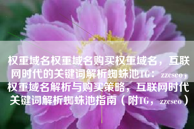 权重域名权重域名购买权重域名，互联网时代的关键词解析蜘蛛池TG：zzcseo，权重域名解析与购买策略，互联网时代关键词解析蜘蛛池指南（附TG，zzcseo）