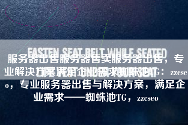 服务器出售服务器售卖服务器出售，专业解决方案满足企业需求蜘蛛池TG：zzcseo，专业服务器出售与解决方案，满足企业需求——蜘蛛池TG，zzcseo