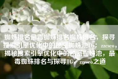 蜘蛛排名最毒蜘蛛排名蜘蛛排名，探寻搜索引擎优化中的秘密蜘蛛池TG：zzcseo，揭秘搜索引擎优化中的秘密蜘蛛池，最毒蜘蛛排名与探寻TG，zzcseo之道