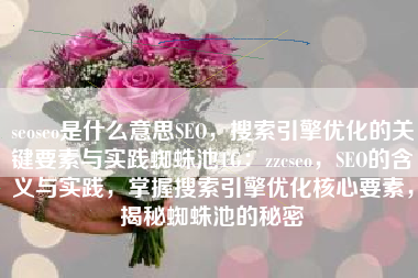 seoseo是什么意思SEO，搜索引擎优化的关键要素与实践蜘蛛池TG：zzcseo，SEO的含义与实践，掌握搜索引擎优化核心要素，揭秘蜘蛛池的秘密