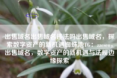 出售域名出售域名违法吗出售域名，探索数字资产的新机遇蜘蛛池TG：zzcseo，出售域名，数字资产的新机遇与法规边缘探索