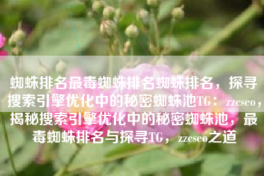 蜘蛛排名最毒蜘蛛排名蜘蛛排名，探寻搜索引擎优化中的秘密蜘蛛池TG：zzcseo，揭秘搜索引擎优化中的秘密蜘蛛池，最毒蜘蛛排名与探寻TG，zzcseo之道