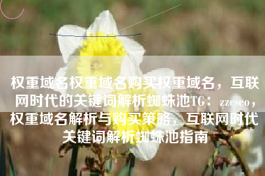 权重域名权重域名购买权重域名，互联网时代的关键词解析蜘蛛池TG：zzcseo，权重域名解析与购买策略，互联网时代关键词解析蜘蛛池指南