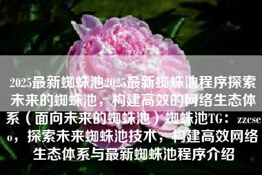 2025最新蜘蛛池2025最新蜘蛛池程序探索未来的蜘蛛池，构建高效的网络生态体系（面向未来的蜘蛛池）蜘蛛池TG：zzcseo，探索未来蜘蛛池技术，构建高效网络生态体系与最新蜘蛛池程序介绍