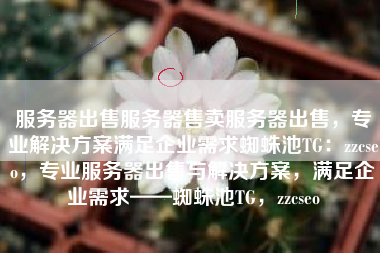 服务器出售服务器售卖服务器出售，专业解决方案满足企业需求蜘蛛池TG：zzcseo，专业服务器出售与解决方案，满足企业需求——蜘蛛池TG，zzcseo