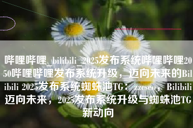 哔哩哔哩_bilibili_2025发布系统哔哩哔哩2050哔哩哔哩发布系统升级，迈向未来的Bilibili 2025发布系统蜘蛛池TG：zzcseo，Bilibili迈向未来，2025发布系统升级与蜘蛛池TG新动向