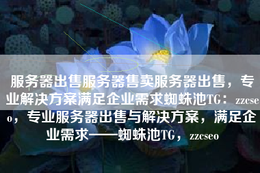 服务器出售服务器售卖服务器出售，专业解决方案满足企业需求蜘蛛池TG：zzcseo，专业服务器出售与解决方案，满足企业需求——蜘蛛池TG，zzcseo