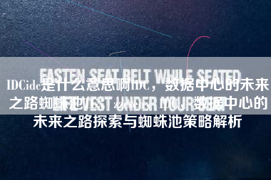 IDCidc是什么意思啊IDC，数据中心的未来之路蜘蛛池TG：zzcseo，IDC，数据中心的未来之路探索与蜘蛛池策略解析