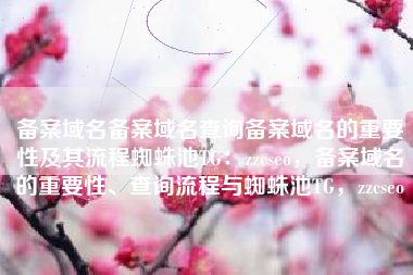 备案域名备案域名查询备案域名的重要性及其流程蜘蛛池TG：zzcseo，备案域名的重要性、查询流程与蜘蛛池TG，zzcseo