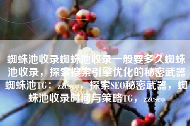 蜘蛛池收录蜘蛛池收录一般要多久蜘蛛池收录，探索搜索引擎优化的秘密武器蜘蛛池TG：zzcseo，探索SEO秘密武器，蜘蛛池收录时间与策略TG，zzcseo