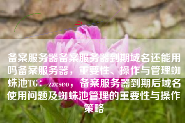 备案服务器备案服务器到期域名还能用吗备案服务器，重要性、操作与管理蜘蛛池TG：zzcseo，备案服务器到期后域名使用问题及蜘蛛池管理的重要性与操作策略