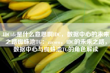 IDCidc是什么意思啊IDC，数据中心的未来之路蜘蛛池TG：zzcseo，IDC的未来之路，数据中心与蜘蛛池TG的角色解读