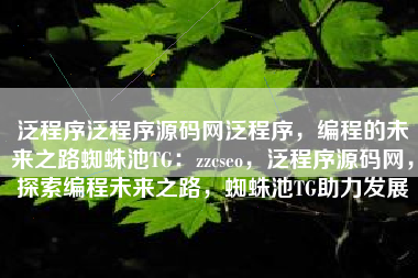 泛程序泛程序源码网泛程序，编程的未来之路蜘蛛池TG：zzcseo，泛程序源码网，探索编程未来之路，蜘蛛池TG助力发展