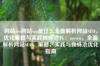 网站seo网站seo是什么全面解析网站SEO，优化策略与实践蜘蛛池TG：zzcseo，全面解析网站SEO，策略、实践与蜘蛛池优化指南