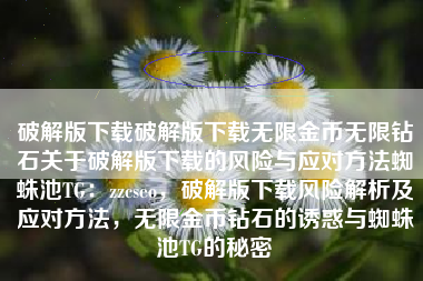 破解版下载破解版下载无限金币无限钻石关于破解版下载的风险与应对方法蜘蛛池TG：zzcseo，破解版下载风险解析及应对方法，无限金币钻石的诱惑与蜘蛛池TG的秘密